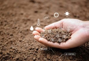 Beneficios de una entidad de inspección acreditada para evaluar la calidad del suelo