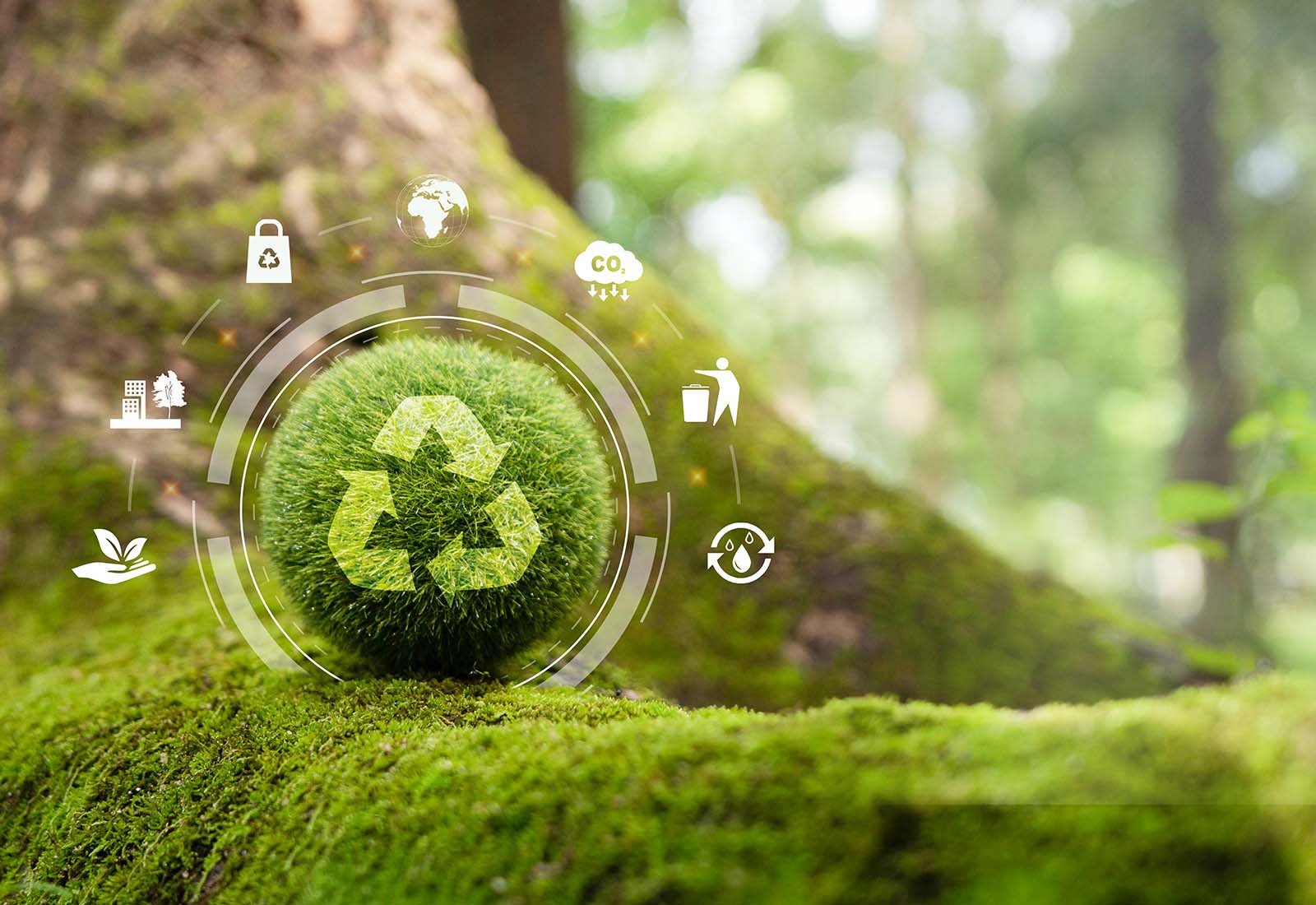 Ventajas de la economía circular para las empresas