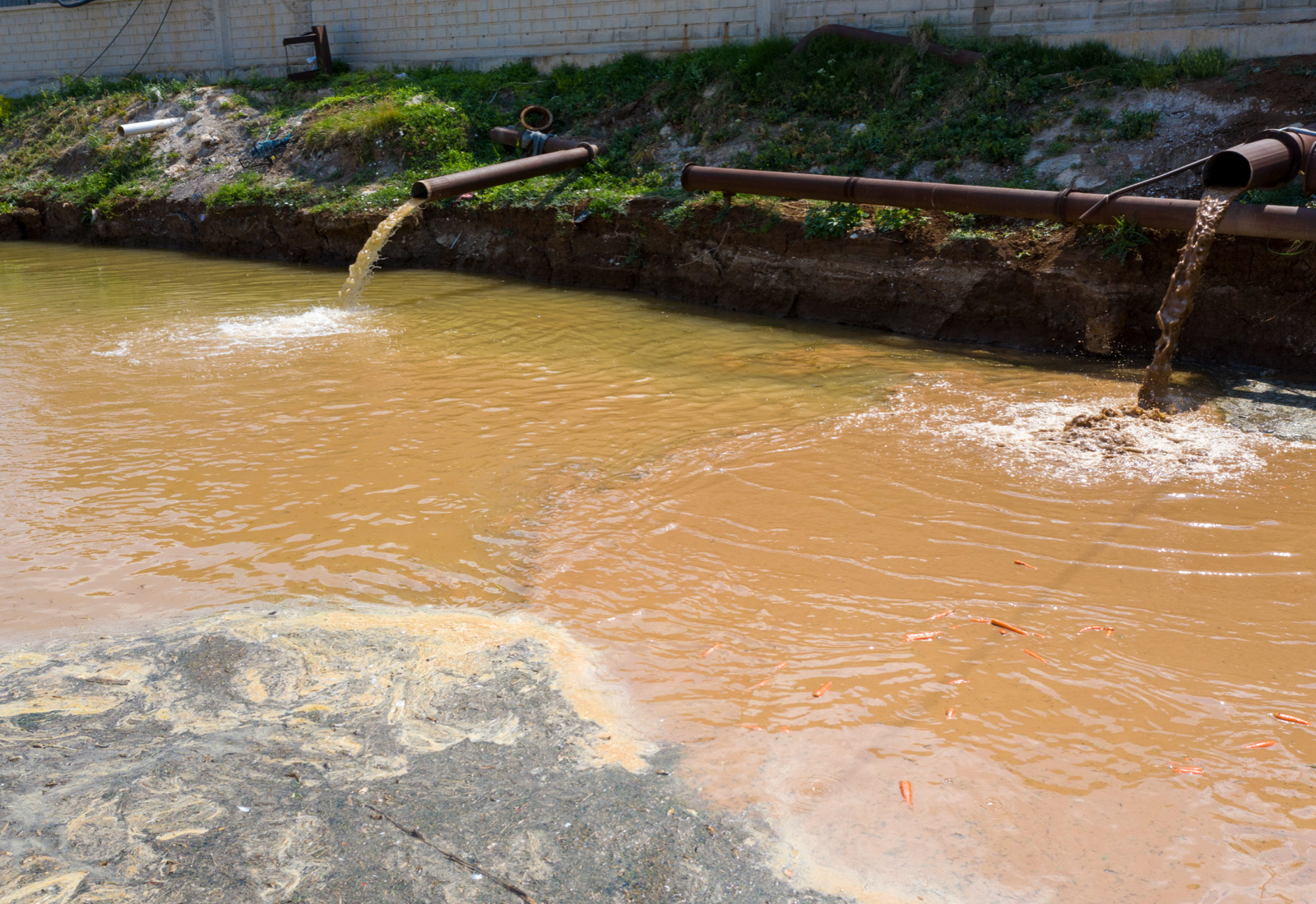 agua contaminada agua contaminada