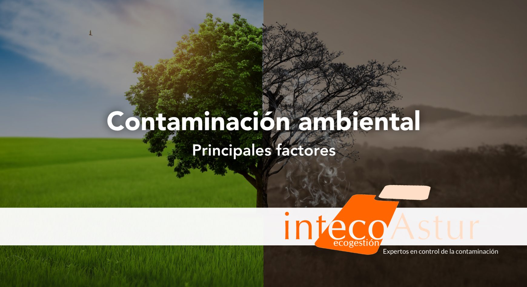 Descubre los principales factores contaminantes del medio ambiente Descubre los principales factores contaminantes del medio ambiente