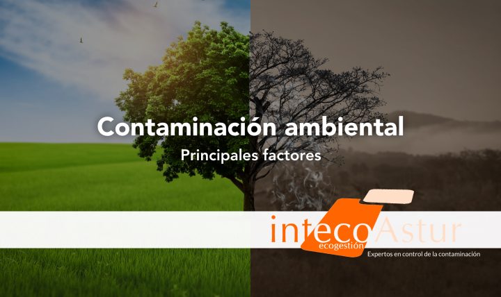 Descubre los principales factores contaminantes del medio ambiente Descubre los principales factores contaminantes del medio ambiente