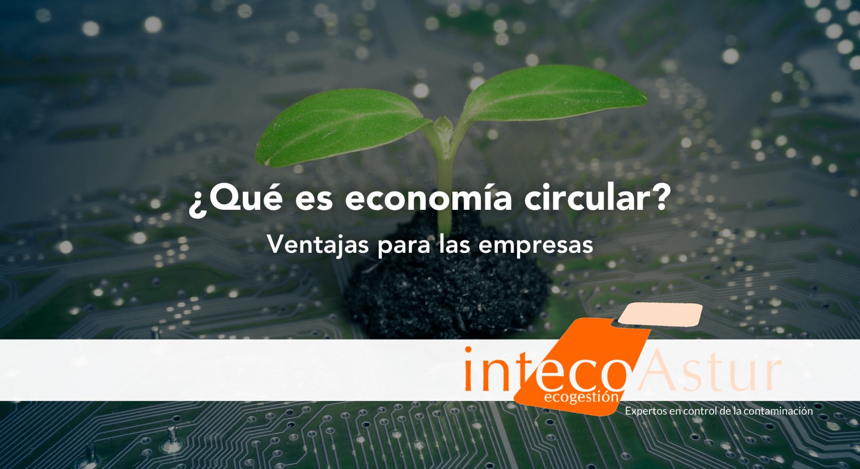 ¿Qué es la economía circular y ventajas competitivas para las empresas? ¿Qué es la economía circular y ventajas competitivas para las empresas?
