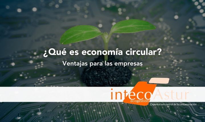 ¿Qué es la economía circular y ventajas competitivas para las empresas? ¿Qué es la economía circular y ventajas competitivas para las empresas?