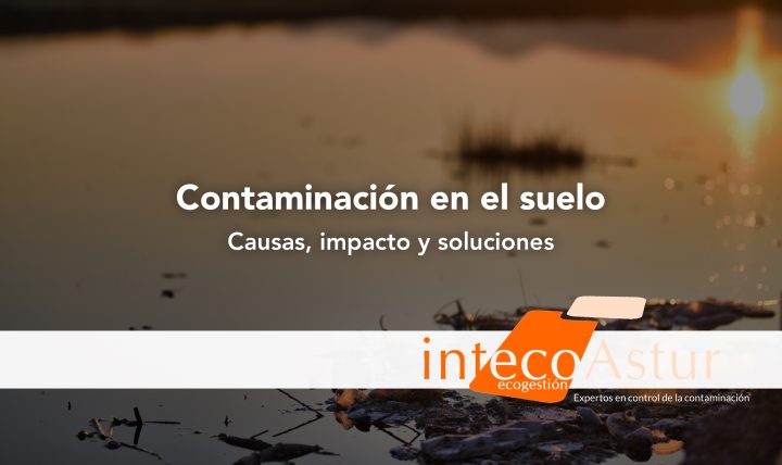 Causas de la contaminación del suelo: análisis completo de impacto y soluciones Causas de la contaminación del suelo: análisis completo de impacto y soluciones
