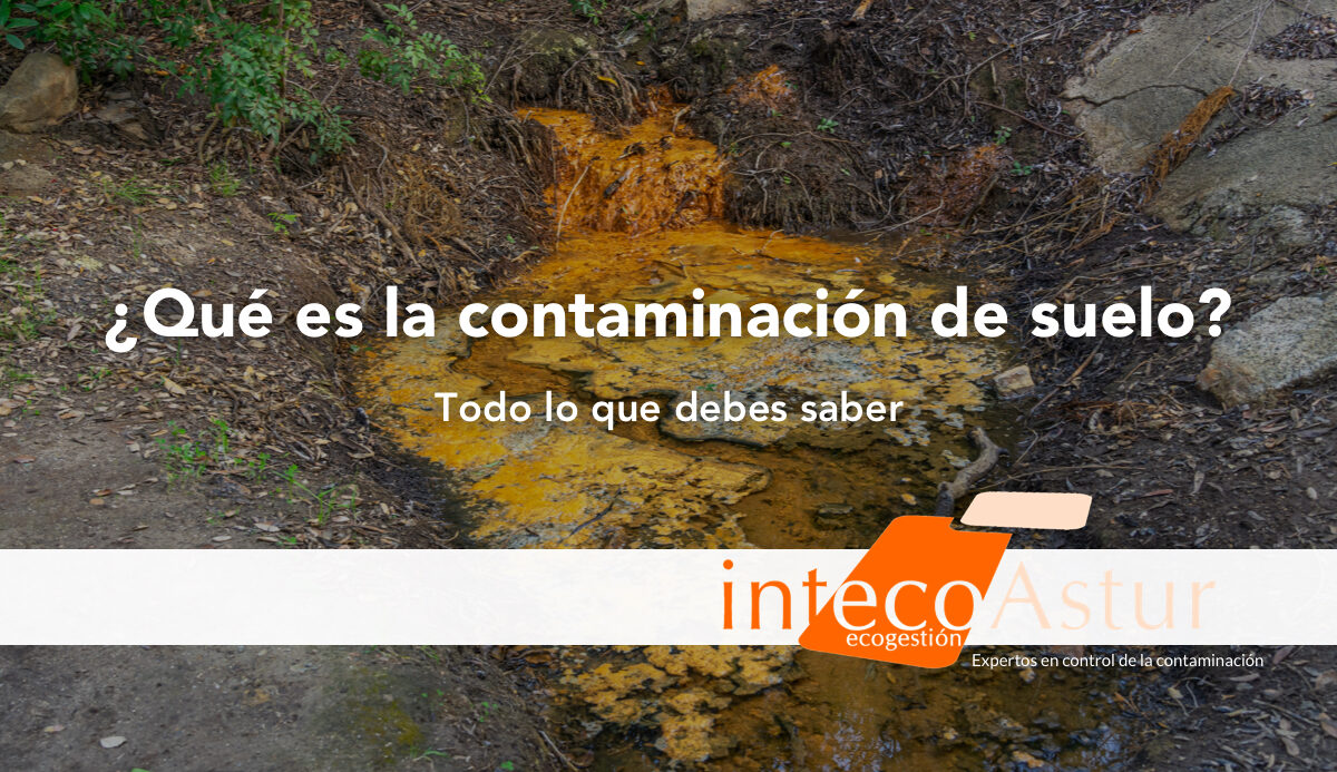 Qué es la contaminación del suelo: todo lo que debes saber Qué es la contaminación del suelo: todo lo que debes saber