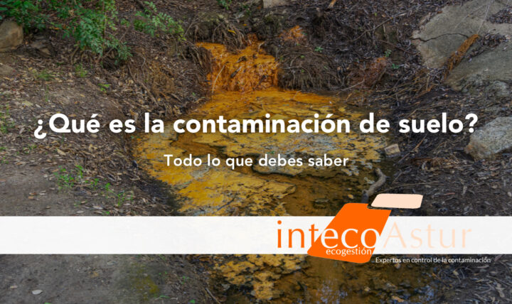 Qué es la contaminación del suelo: todo lo que debes saber Qué es la contaminación del suelo: todo lo que debes saber