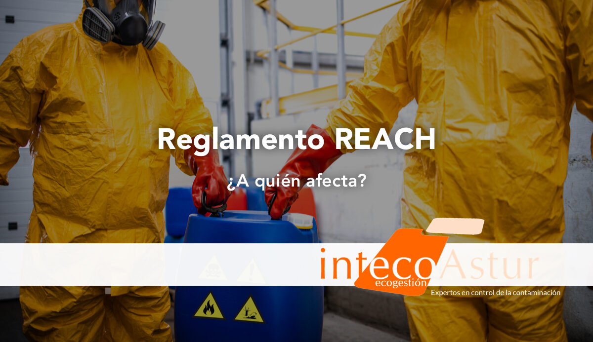 ¿A quién afecta el reglamento REACH? ¿A quién afecta el reglamento REACH?