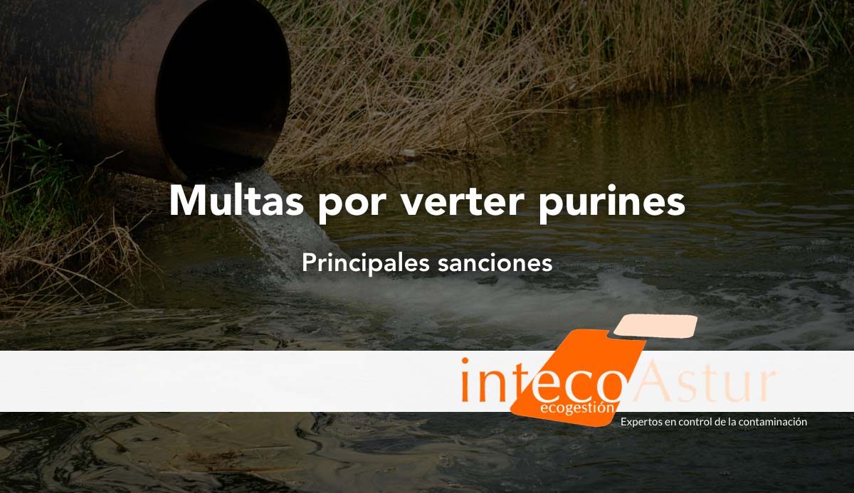 Multas por verter purines: sanciones y consecuencias legales Multas por verter purines: sanciones y consecuencias legales